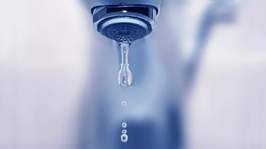 consejos para ahorrar agua